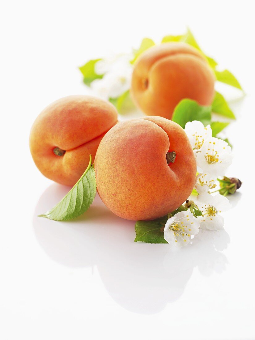Aprikosen mit Blüten und Blättern