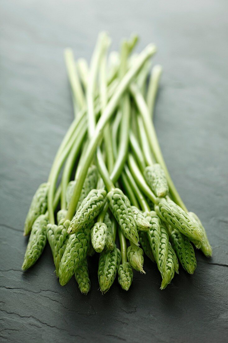 Green wild asparagus