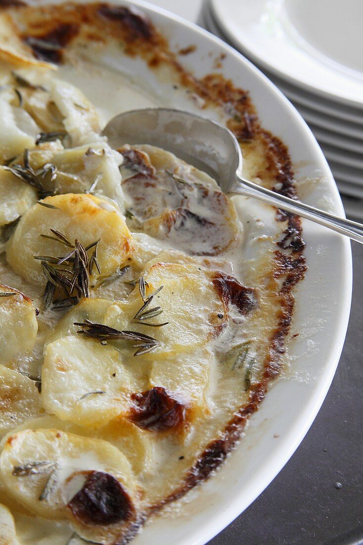 Potato gratin with rosemary