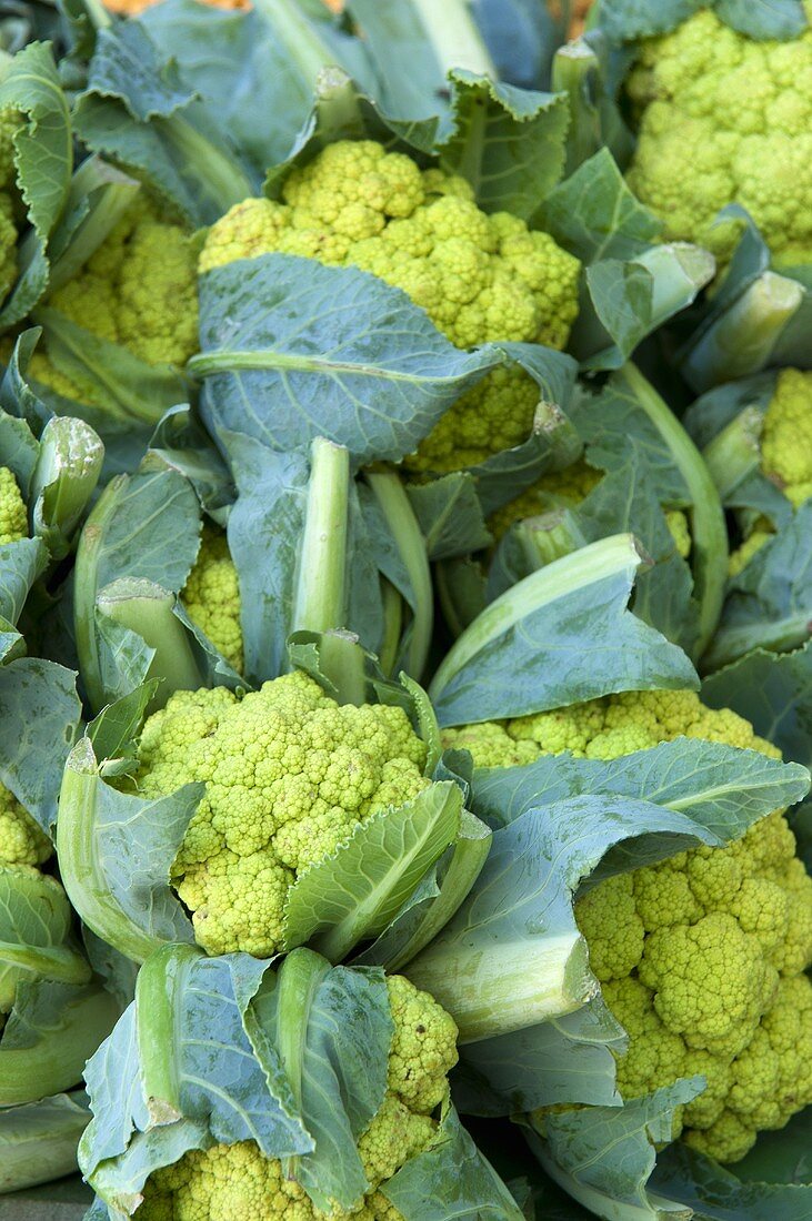 Green cauliflowers