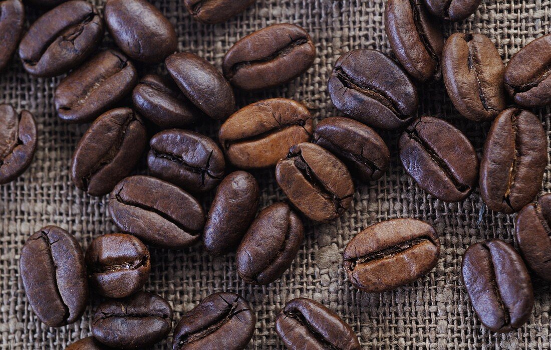 Coffee beans on jute