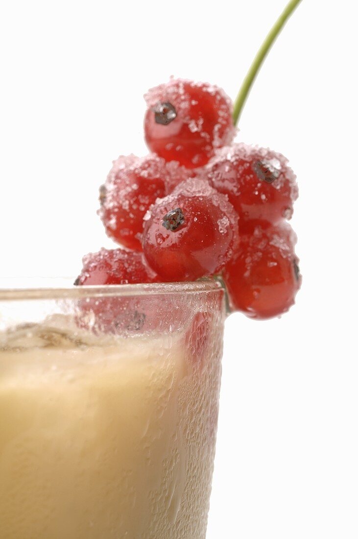 Coco Sour with sugared redcurrants (detail)