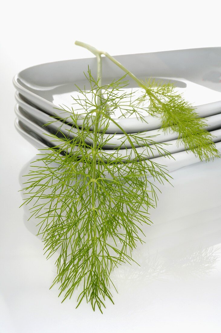 Fennel on stacked dishes
