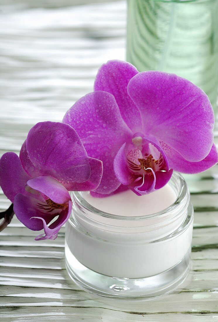 Orchid flowers and jar of cream