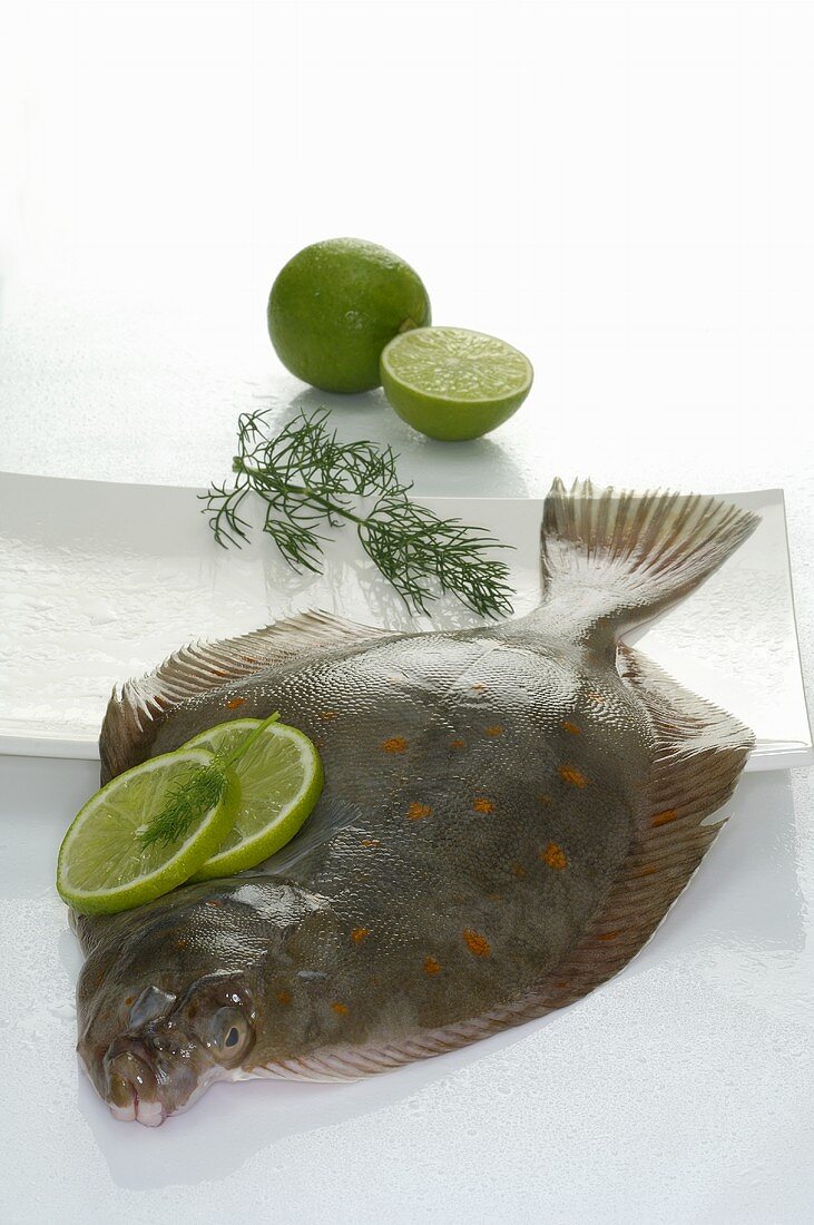 Plaice with lime and dill