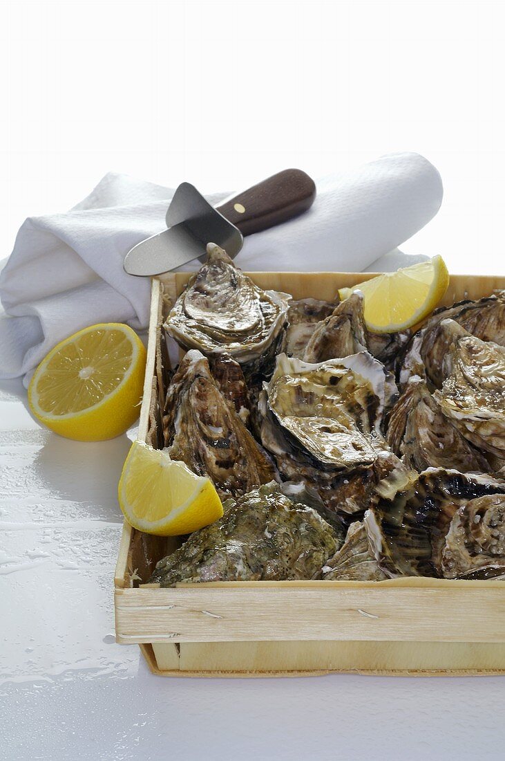 Fresh oysters in box, pieces of lemon and oyster knife