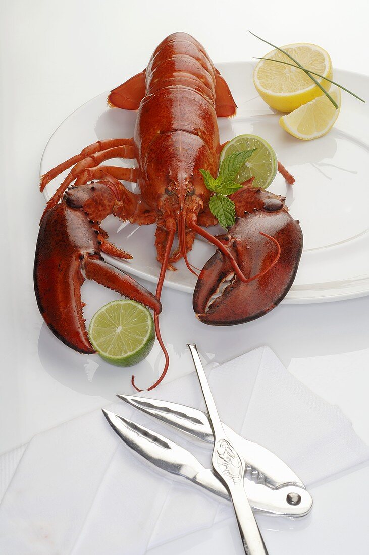 Lobster on plate, lobster utensils beside it