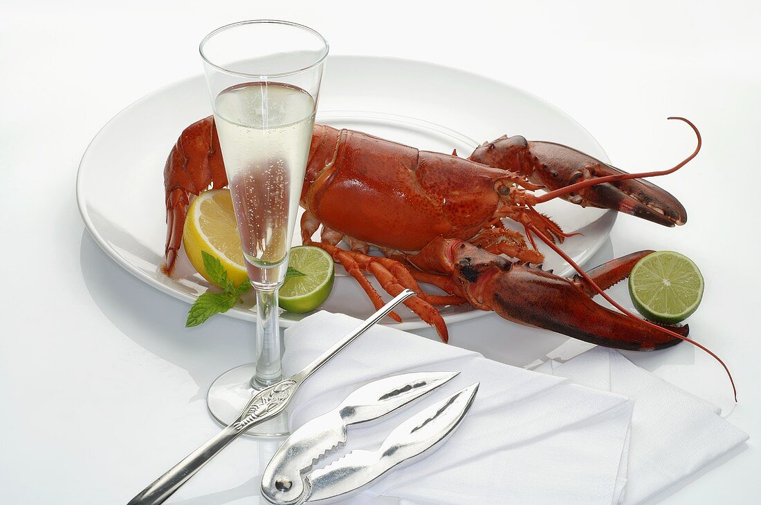 Lobster on plate, glass of sparkling wine, lobster utensils