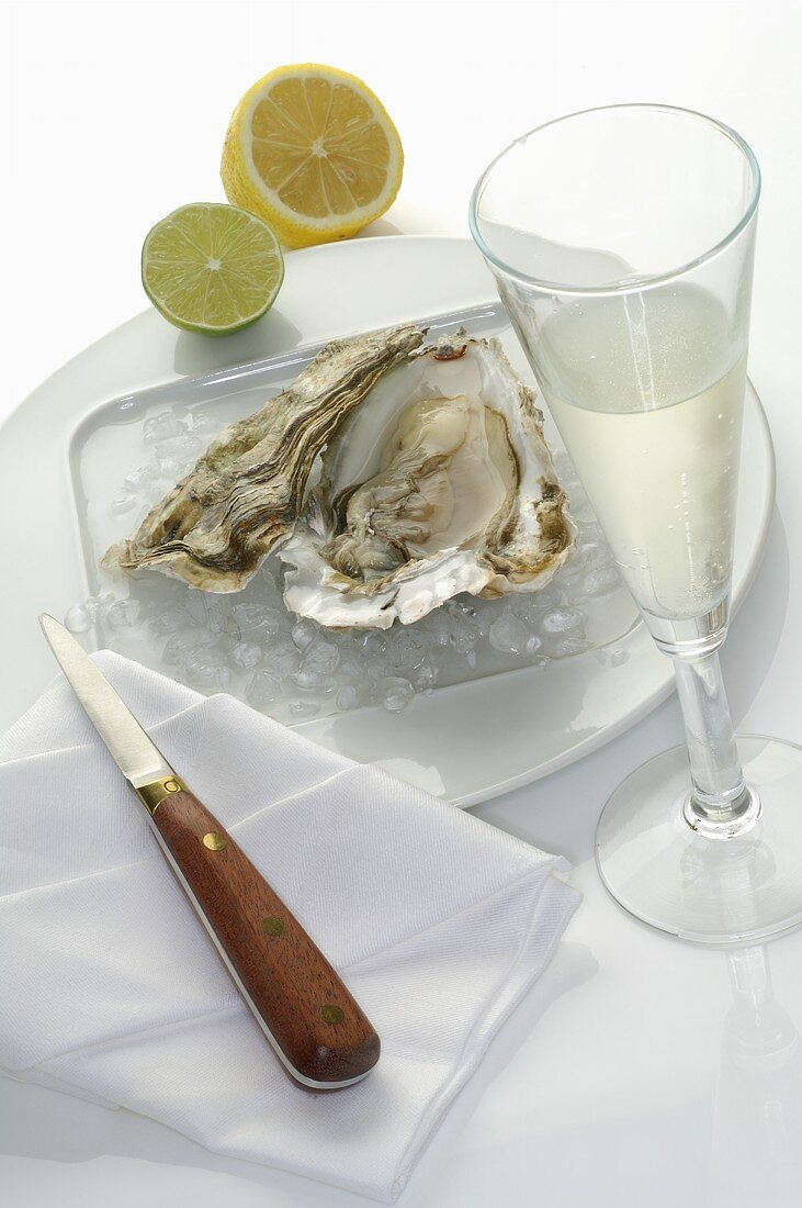 Oyster with glass of sparkling wine