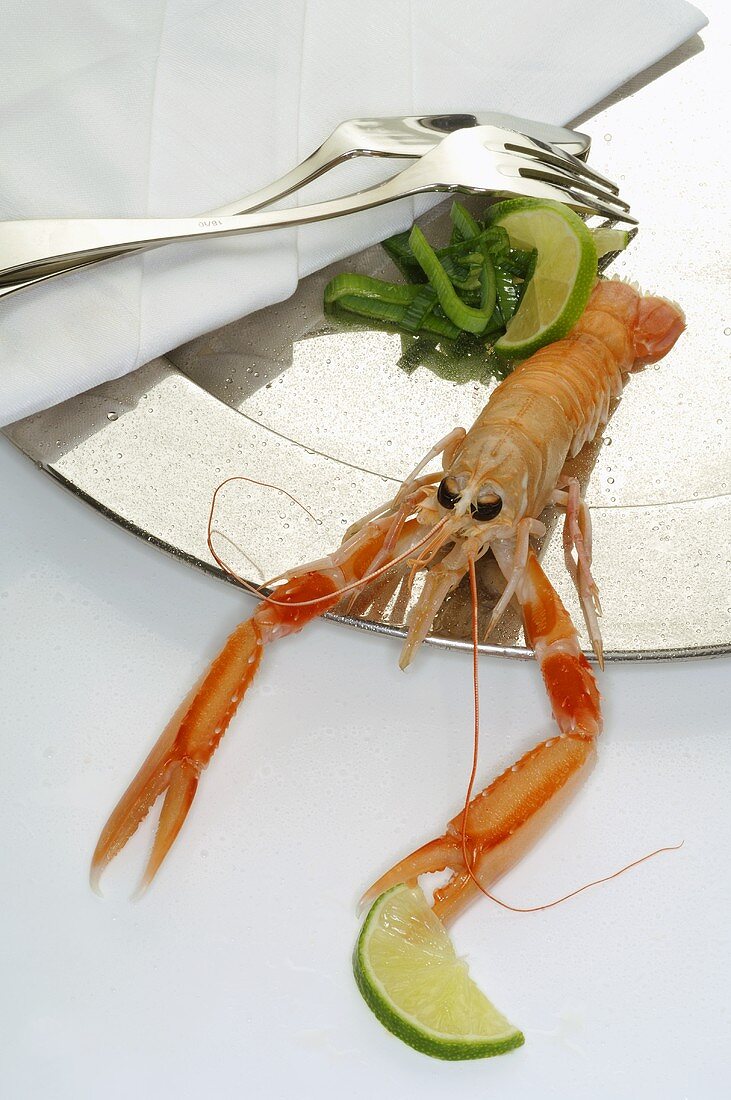 Scampo (Norway lobster) on silver plate