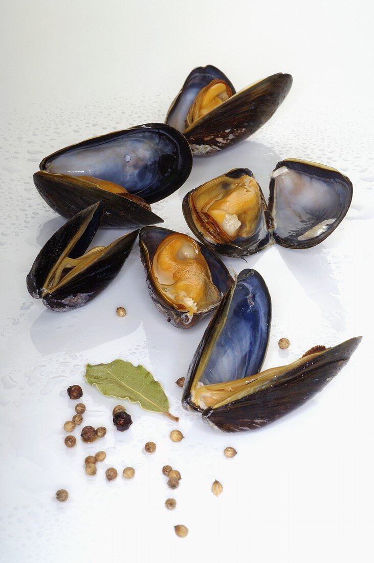 Mussels and spices