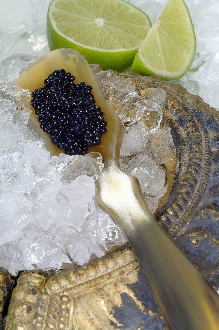 Caviar on mother-of-pearl spoon, crushed ice, pieces of lime