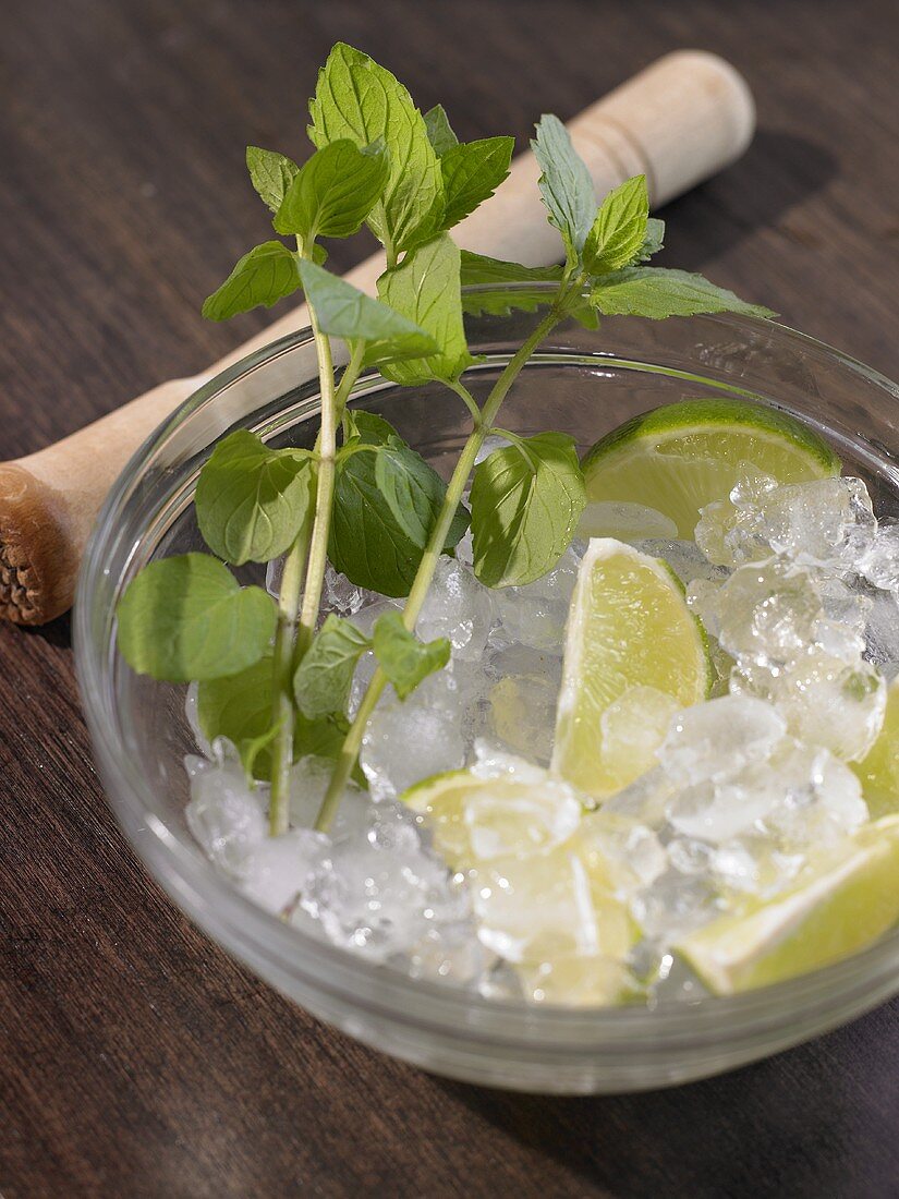 Cocktail ingredients: mint, lime wedges, ice cubes