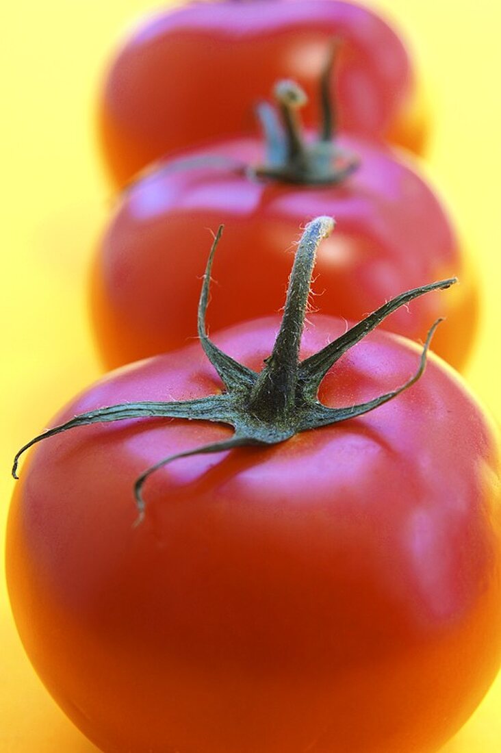 Drei Tomaten