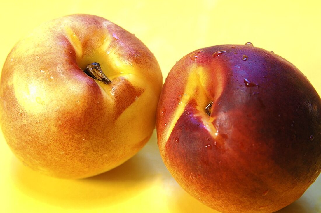 Two nectarines