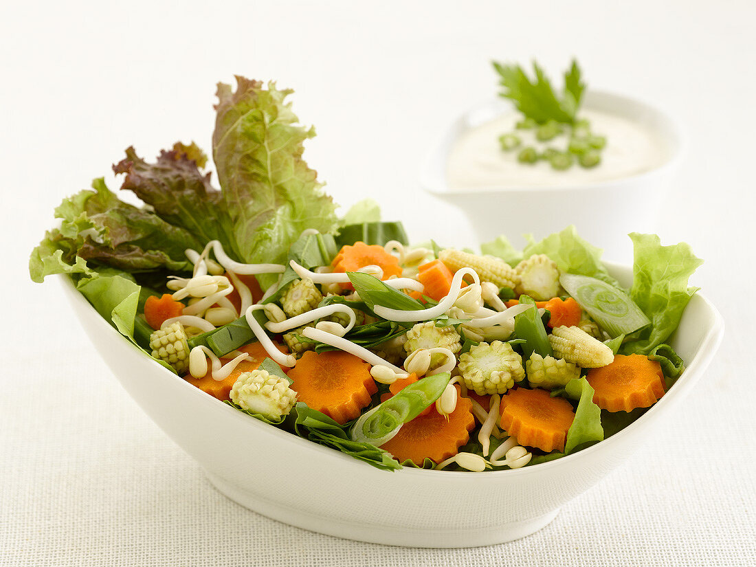 Mixed salad with carrots, lettuce and baby corn cobs