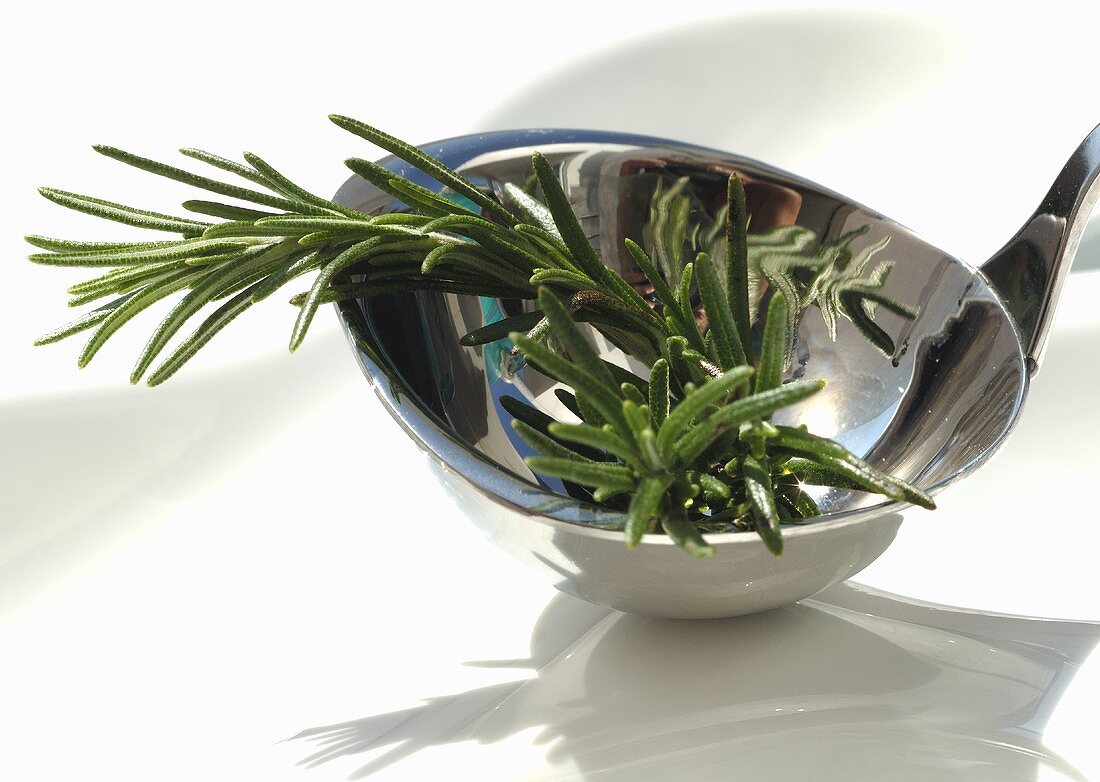 Two sprigs of rosemary in a ladle