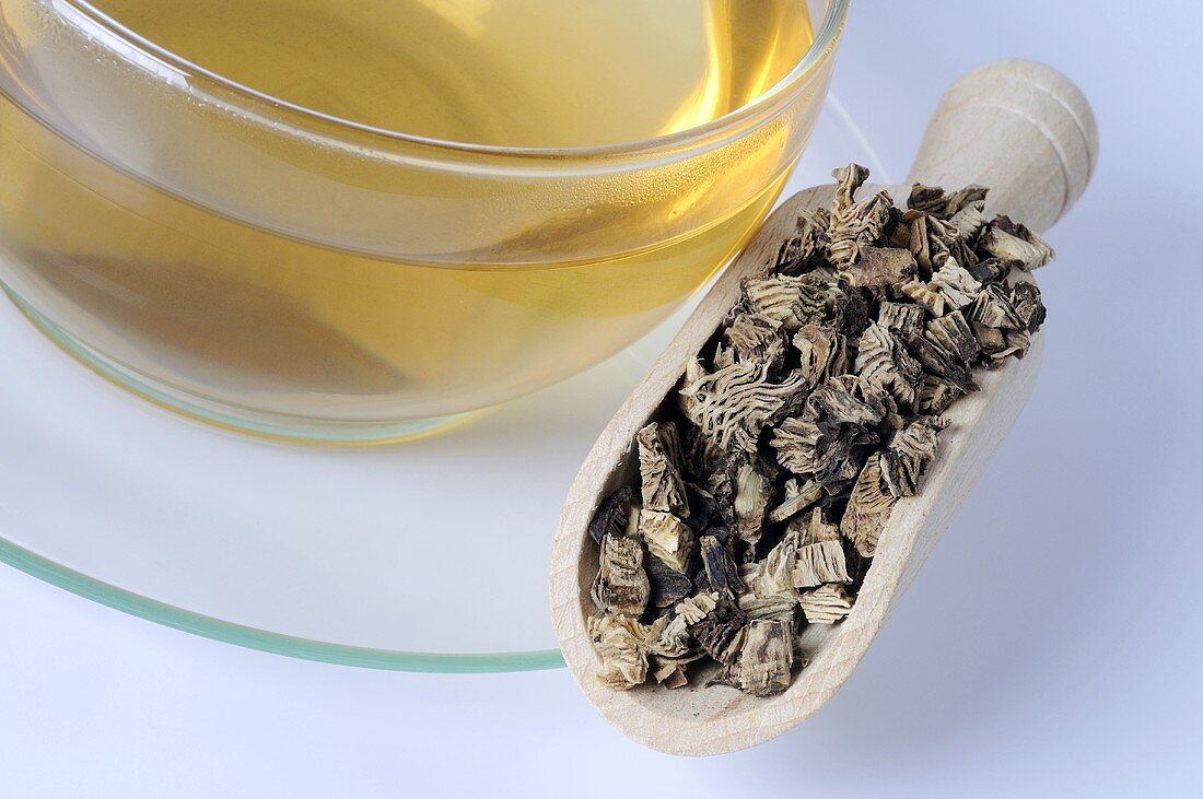 Cup of tea with dried black cohosh root in scoop