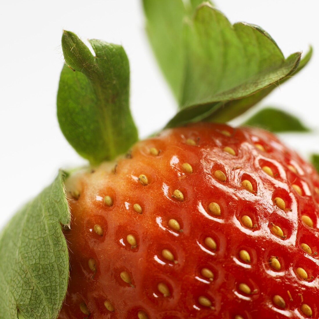 A strawberry, detail