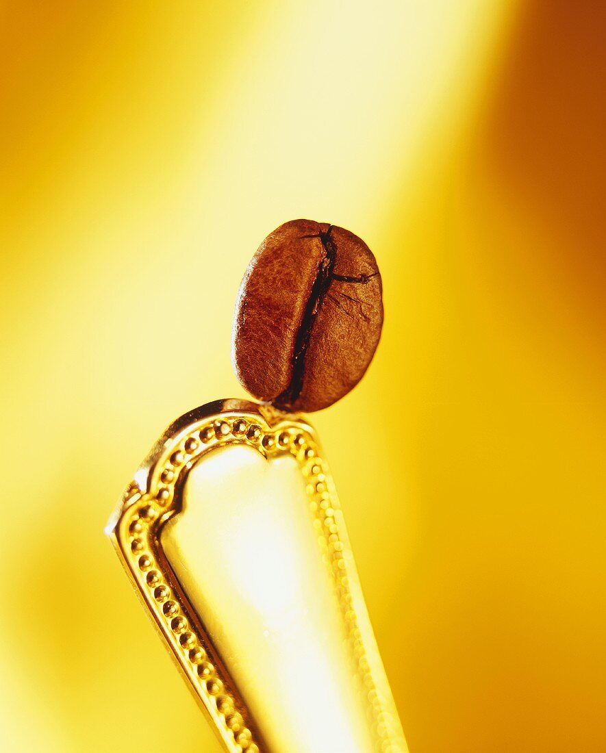 Eine Kaffeebohne auf einem Löffelstiel