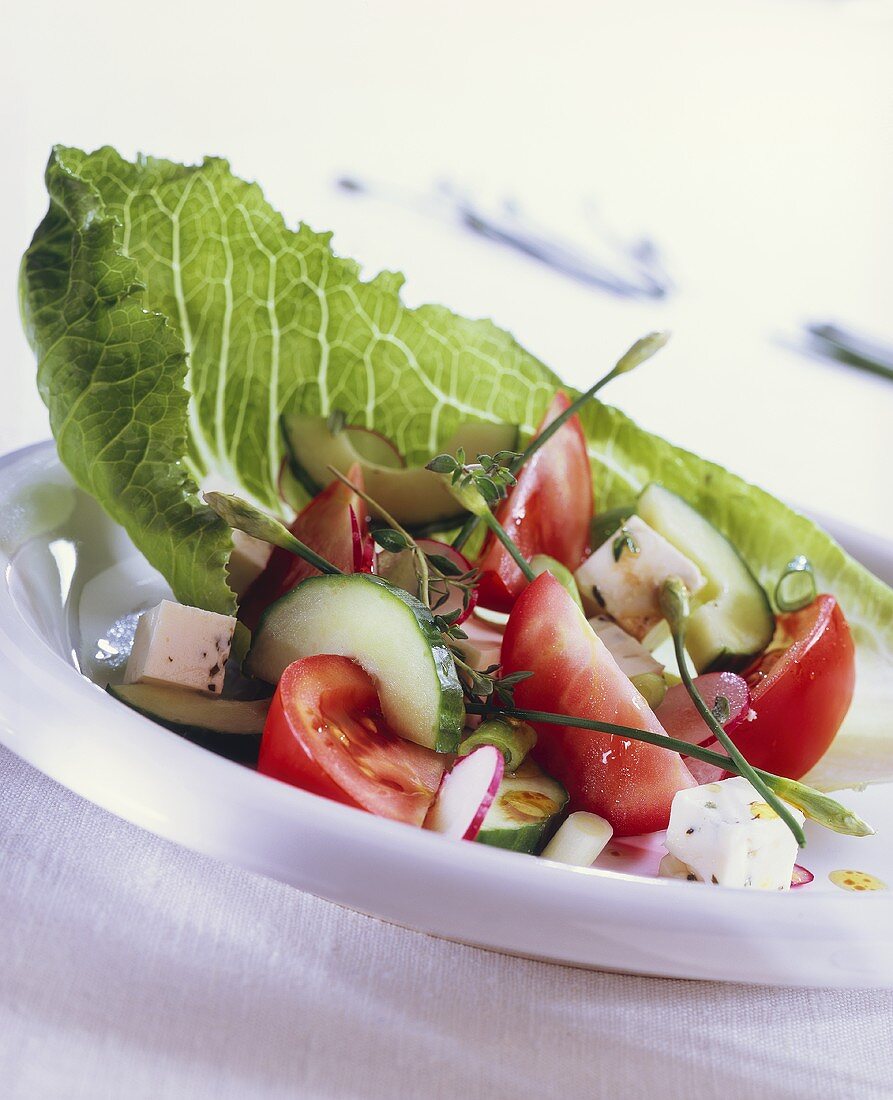 Mediterranean salad with herb feta