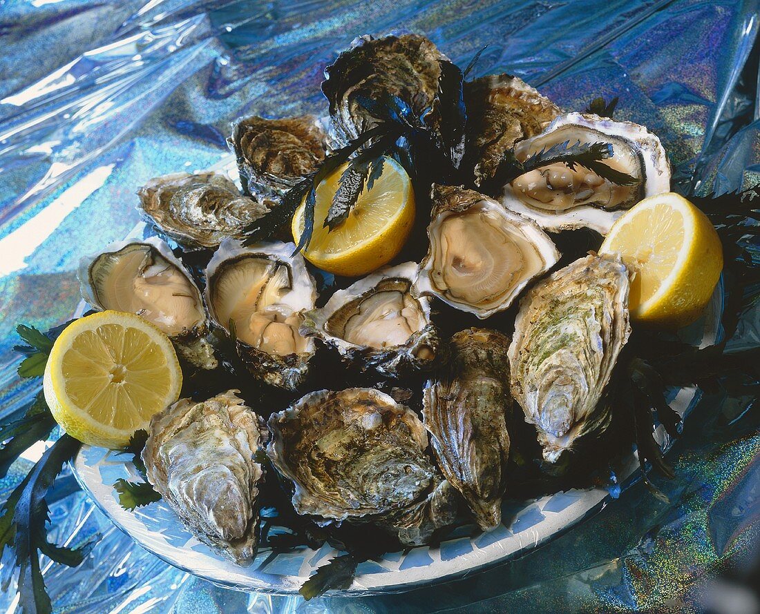 Plate of oysters and lemon halves