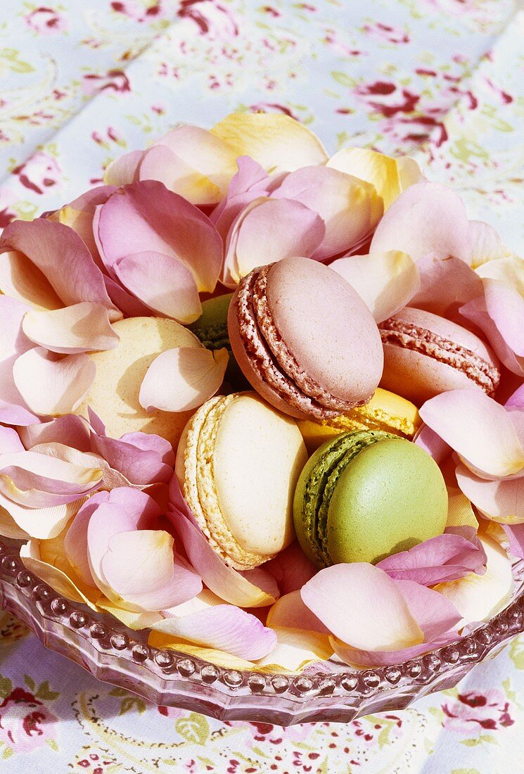 Coloured macarons and rose petals in a dish