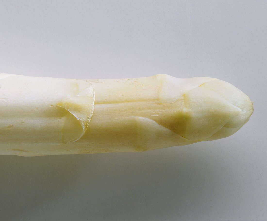 White asparagus tip
