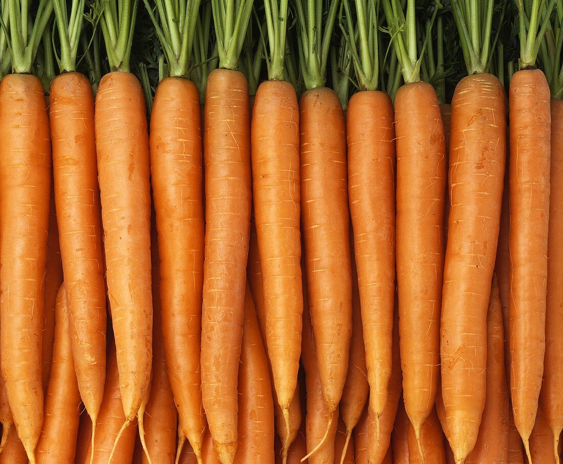 Carrots with tops