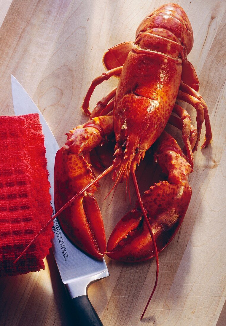 Whole Boiled Lobster with Knife; Red Napkin