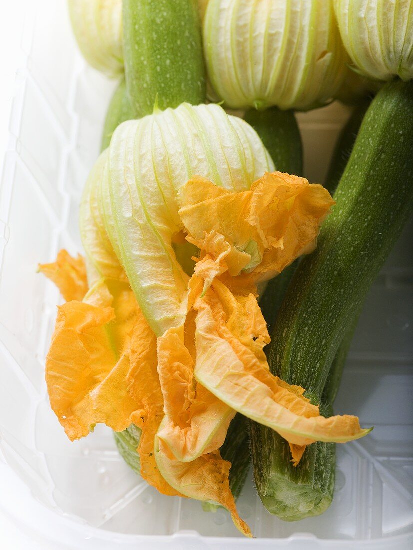Courgettes with flowers in plastic tray