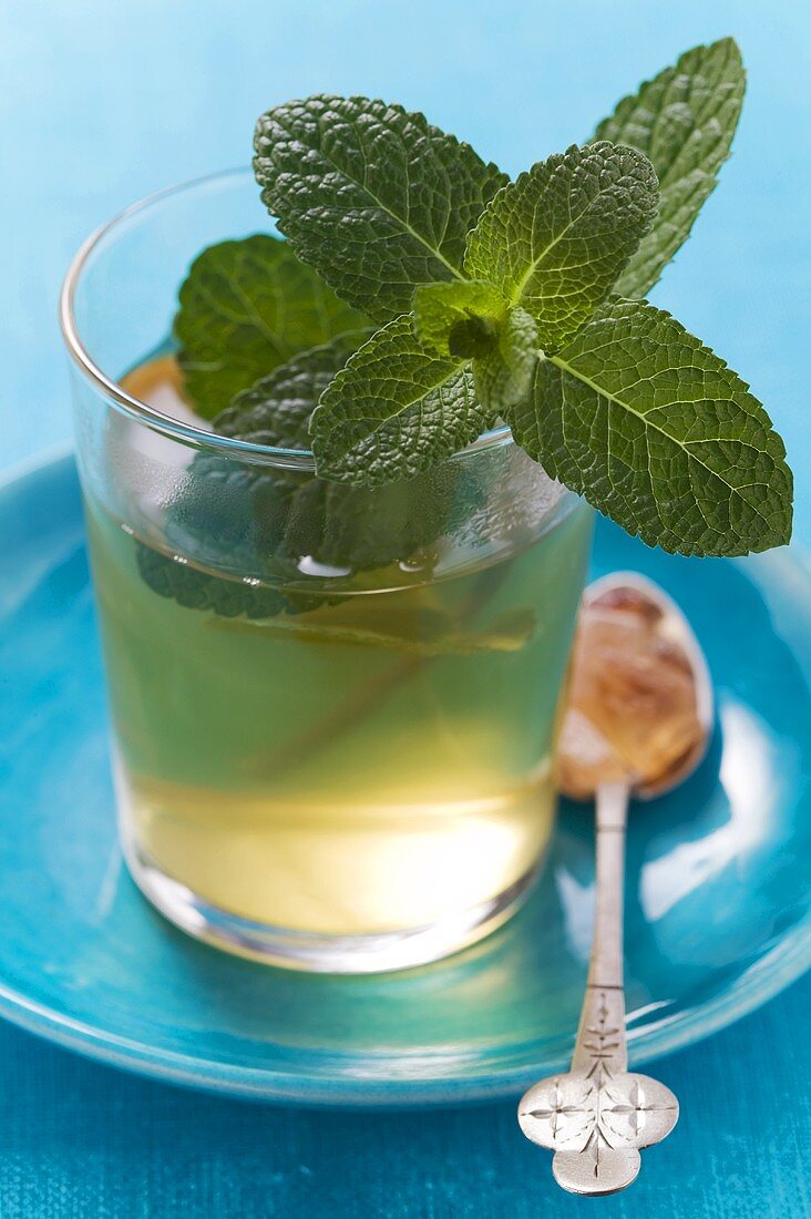 Glass of peppermint tea with fresh mint