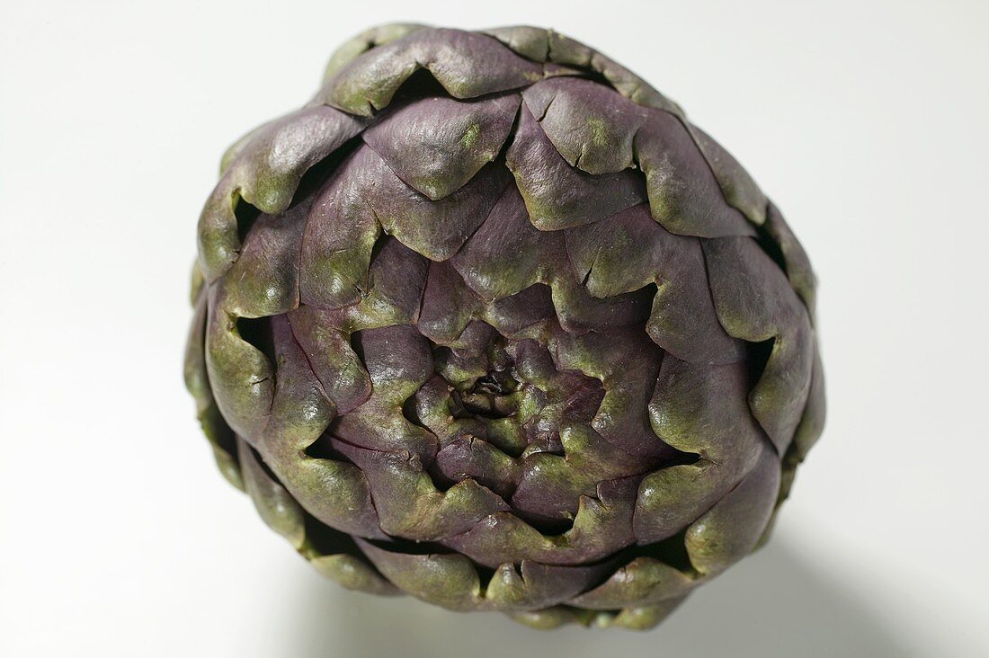 An artichoke from the front