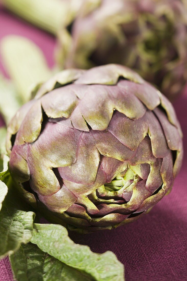 Artischocken mit Blatt auf violettem Untergrund