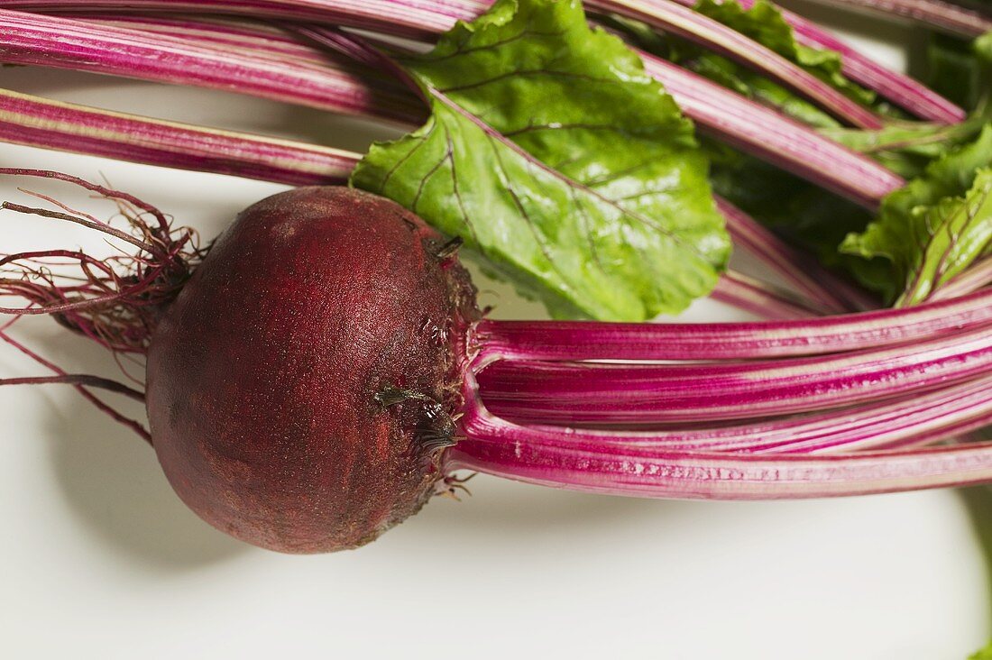 Beetroot with leaves