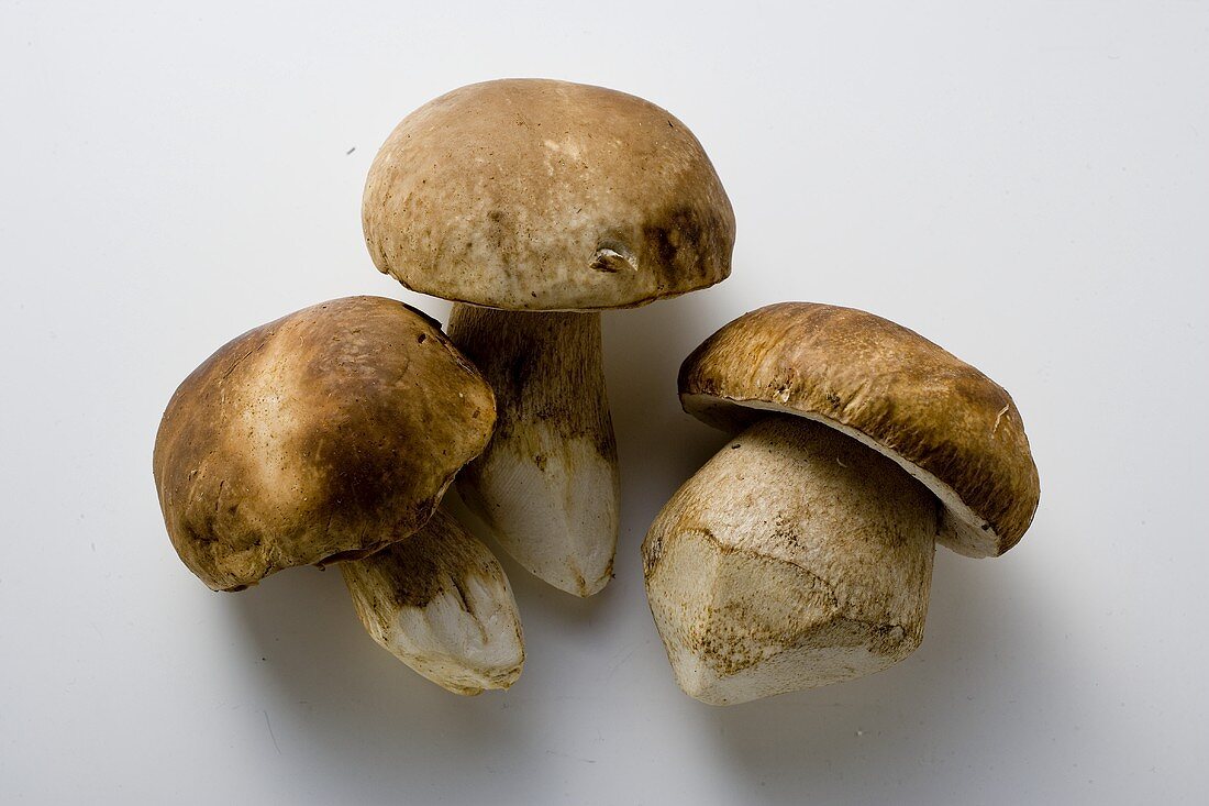 Three ceps