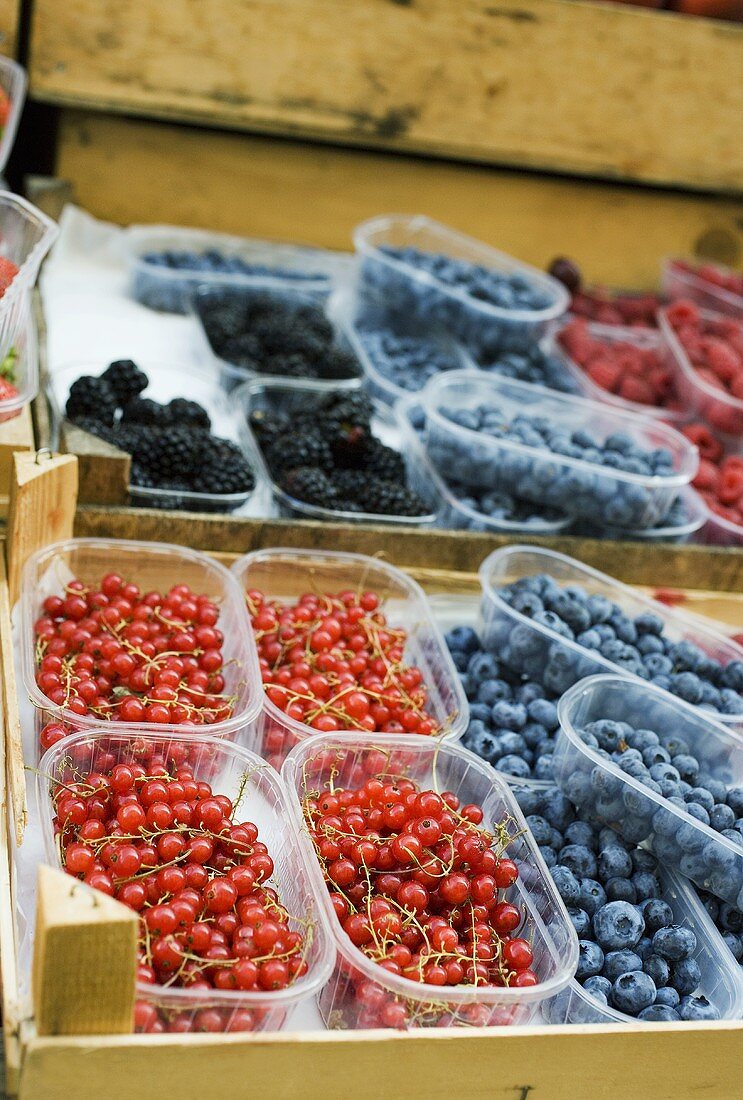 Various types of berries in plastic punnets at a market