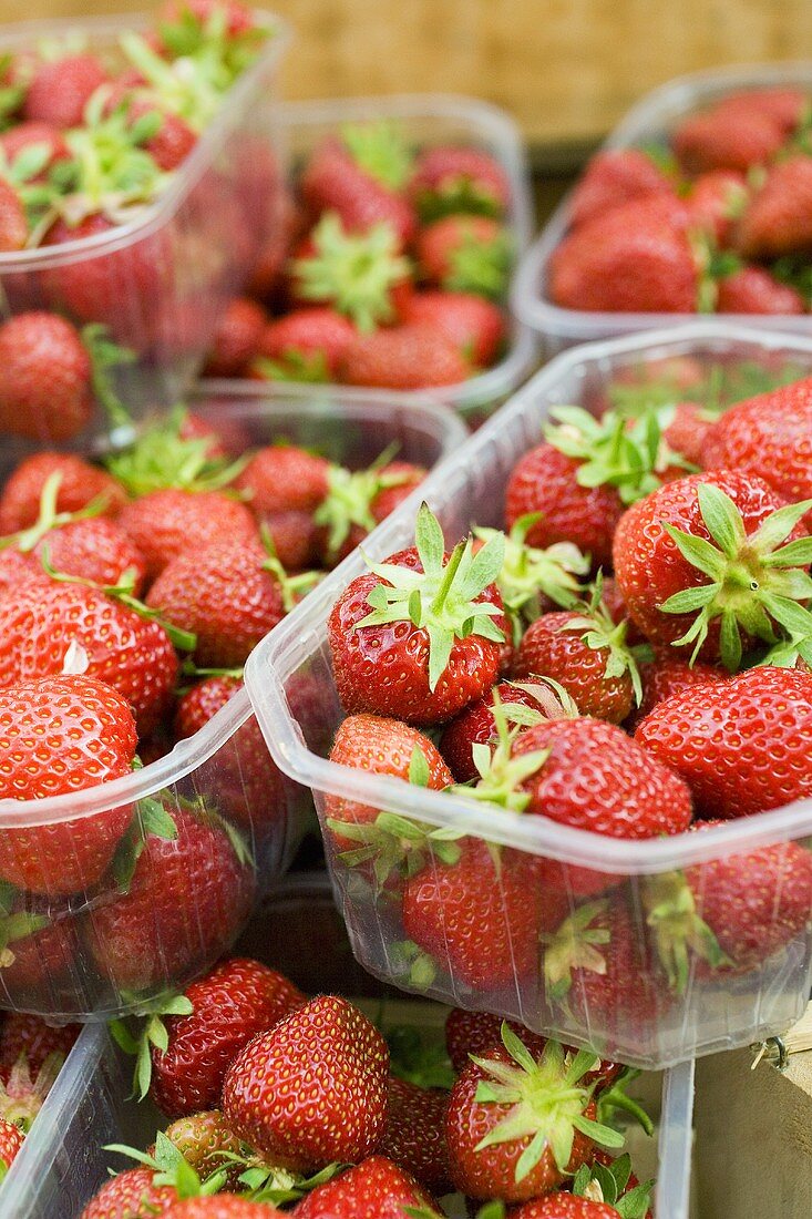 Fresh strawberries in plastic punnets at a market
