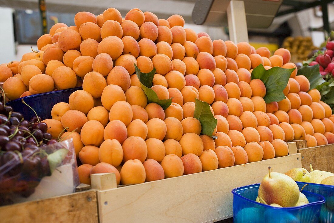A heap of apricots at a market
