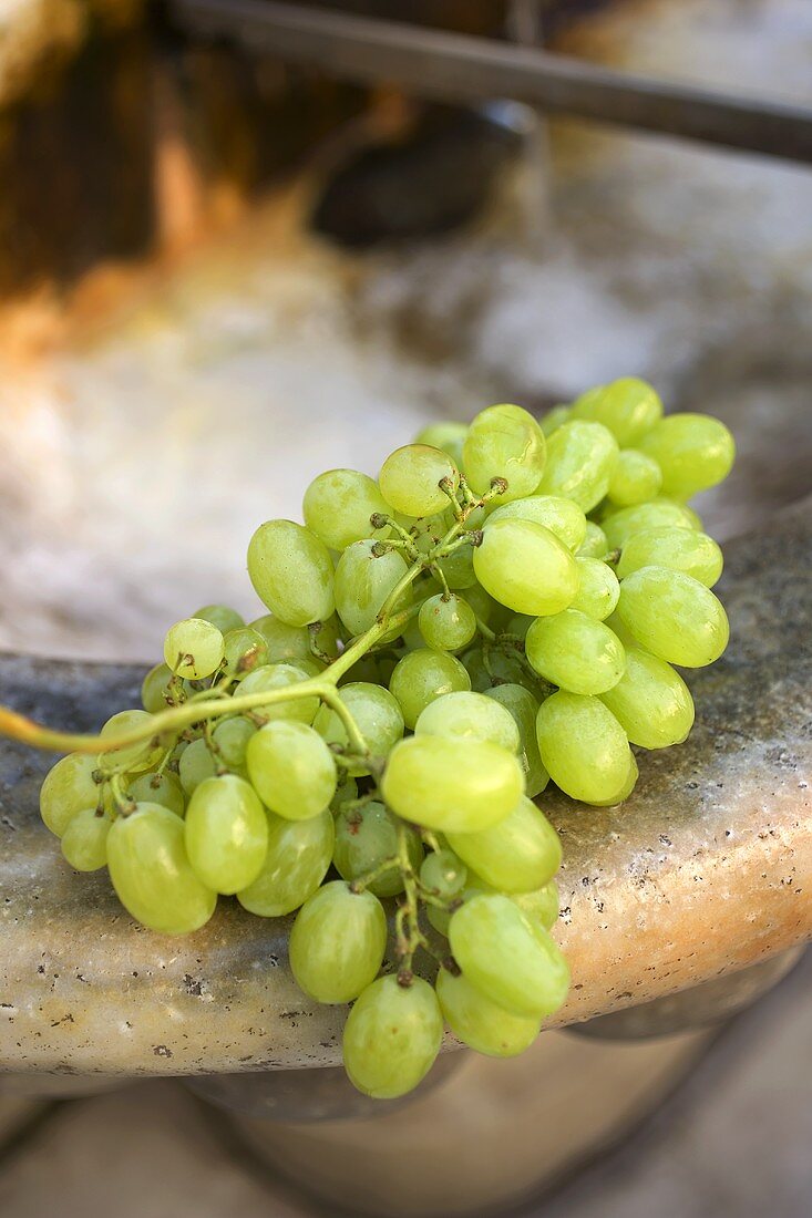 Fresh green grapes on a stone sink