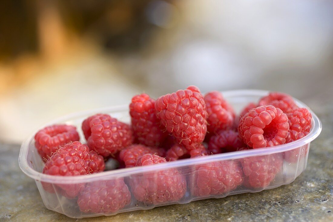 Himbeeren in Plastikschale auf einem Steinbecken