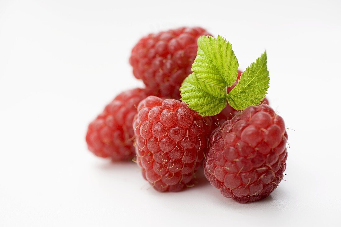 Several raspberries with leaf