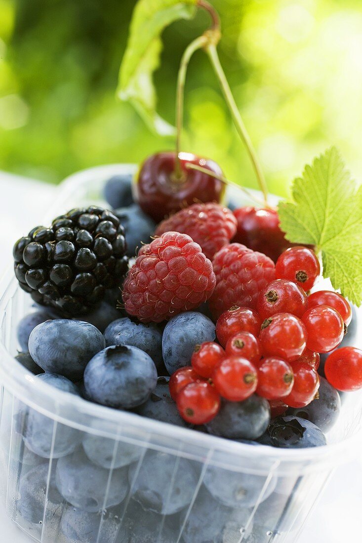 Verschiedene Beeren und zwei Kirschen in Plastikschale