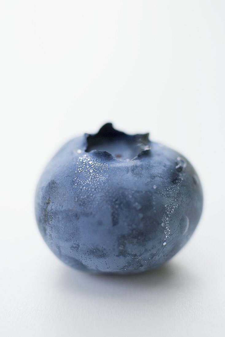 A blueberry (close-up)