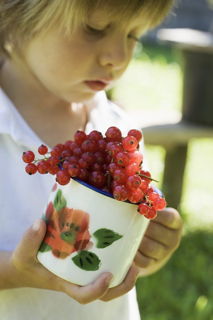 Kind hält Tasse mit roten Johannisbeeren