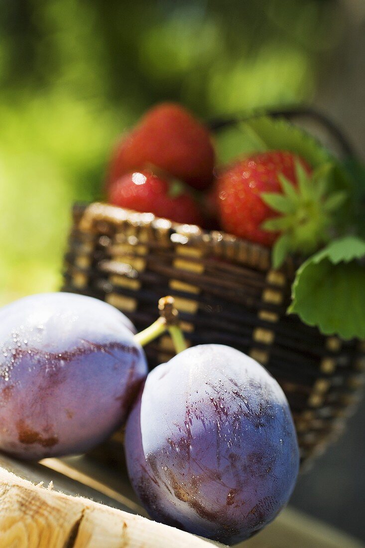 Two plums with drops of water, strawberries in basket behind