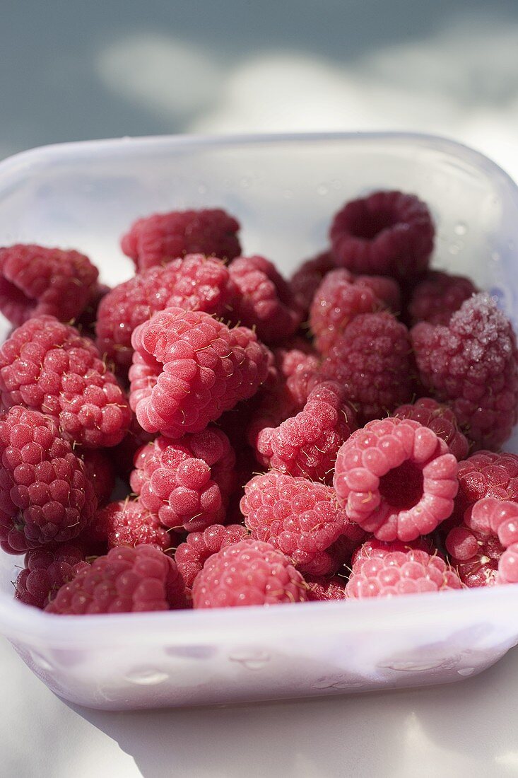 Fresh raspberries in plastic container