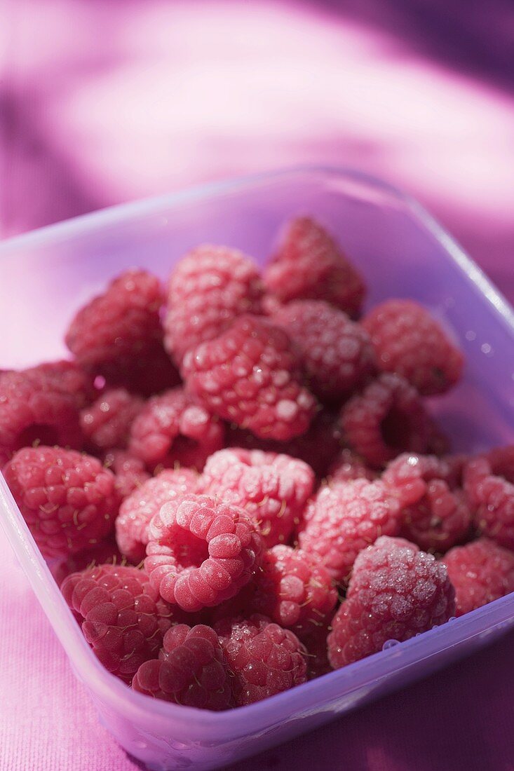 Raspberries in plastic container