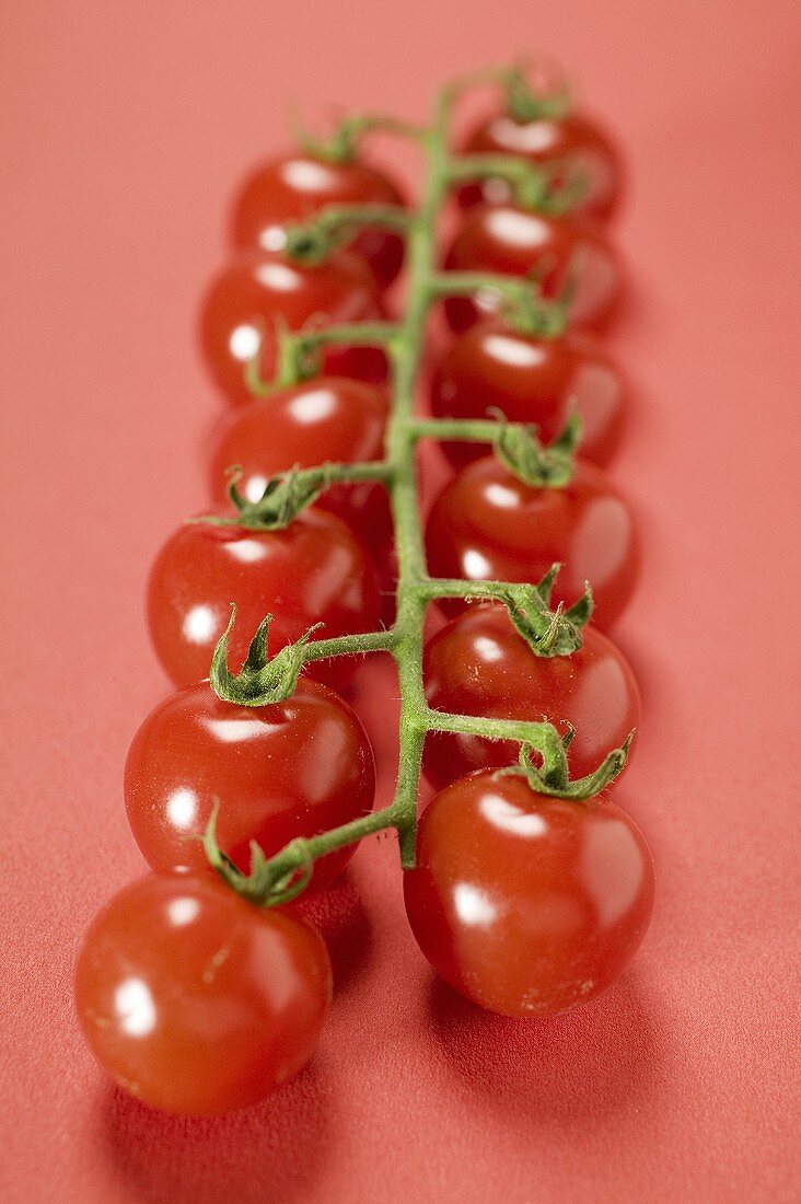 Cherry tomatoes on red background