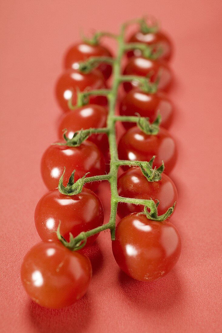 Kirschtomaten auf rotem Untergrund